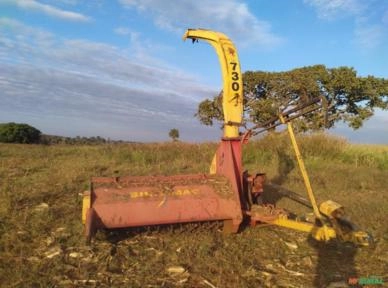 Imagem Forrageira Siltomac Imagem Forrageira Siltomac