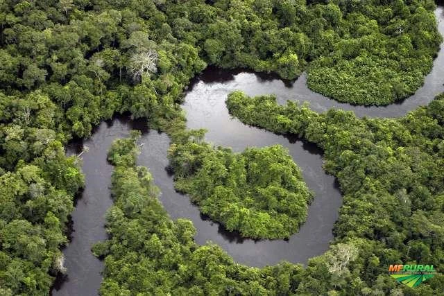 Compensação Ambiental no bioma Amazônico