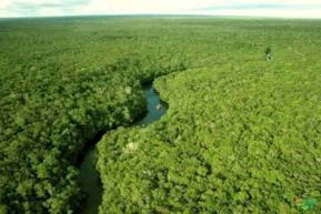 ÁREAS EM RESERVA FLORESTAL - ICMBIO