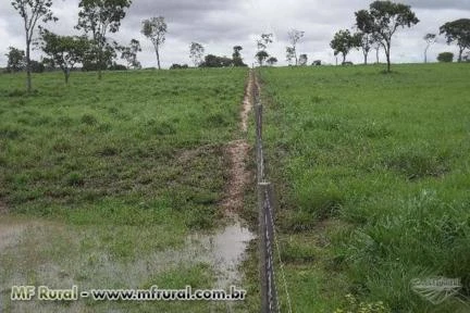 Fazenda Canabrava