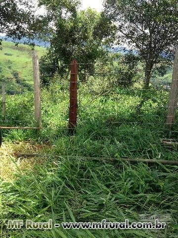 Fazenda Sitio Chácara Sapucaí Mirim Sul de MG Divisa SP Campos do Jordao Troca