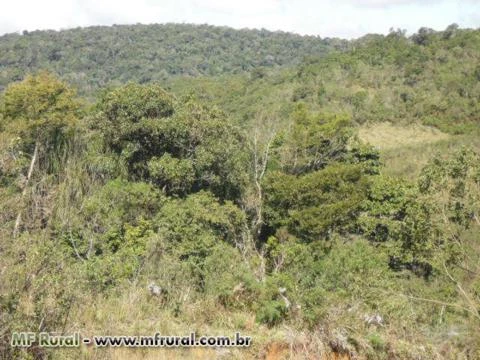 Fazenda em Ribeirão Branco (SP) com 1.945 alqueires