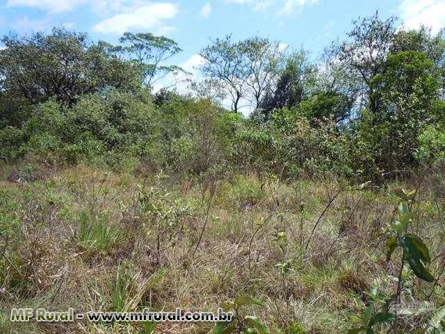 Area para reposição ambiental de reserva legal bioma cerrado no Estado de SP