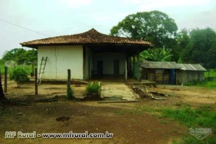 FAZENDA  DE 7500HECTARES PARA ARRENDAMENTO EM CANARANA ESTADO MATO GROSSO