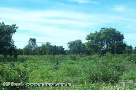 FAZENDA A VENDA EM JANUARIA-MG