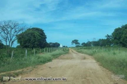 FAZENDA A VENDA EM JANUARIA-MG