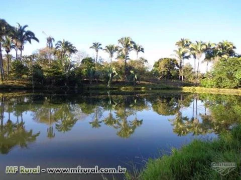 FAZENDA A VENDA EM JANUARIA-MG