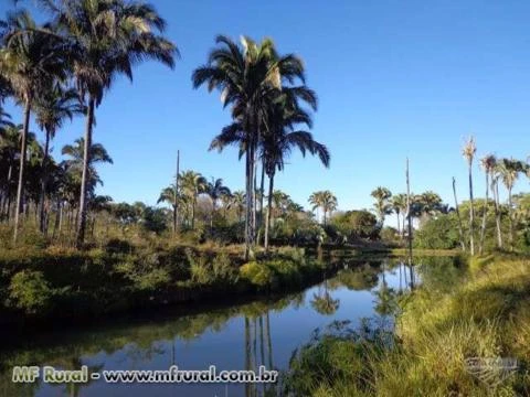 FAZENDA A VENDA EM JANUARIA-MG