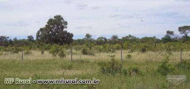 FAZENDA A VENDA EM JANUARIA-MG