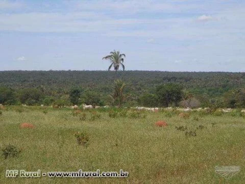 FAZENDA A VENDA EM JANUARIA-MG