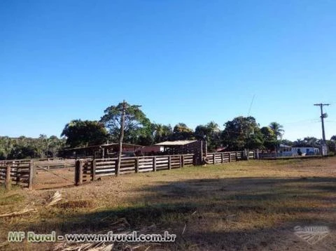 FAZENDA A VENDA EM JANUARIA-MG