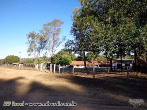 FAZENDA A VENDA EM JANUARIA-MG