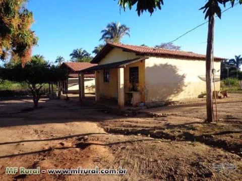 FAZENDA A VENDA EM JANUARIA-MG