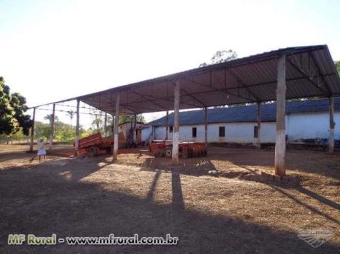 FAZENDA A VENDA EM JANUARIA-MG