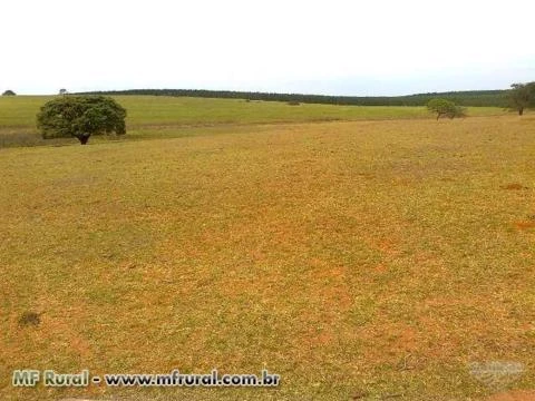 FAZENDA A VENDA ESTADO SÃO PAULO REGIAO CABRALIA PAULISTA (COD:4045)