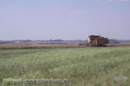 FAZENDA A VENDA DE 4300HEC ESTADO PARANA REGIAO DE CASCAVEL