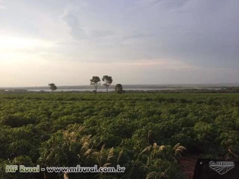 FAZENDA EM TERRA RICA ESTADO PARANA ( COD: 4050 )