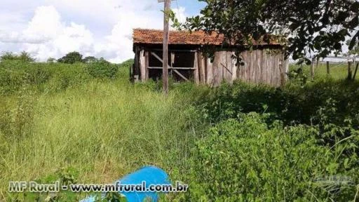 FAZENDA COM DIVIDA 640 HEC EM NOVA XAVANTINA-MT (COD: 4064)