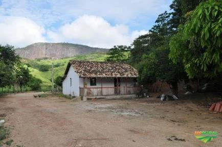 VENDO FAZENDA EM TEOFILO OTONI- MG PARA PECUARIA  ( COD: 400010516 )