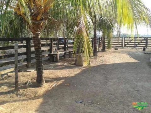 VENDO OU TROCO POR IMOVEIS  FAZENDA DE 5.800 HECTARES (6036)