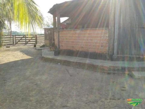 VENDO OU TROCO POR IMOVEIS  FAZENDA DE 5.800 HECTARES (6036)