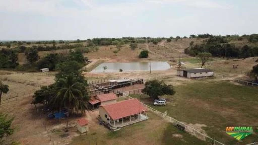 Fazenda em Crixas/ Nova Crixas as margens do asfalto