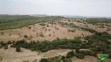 Fazenda em Crixas/ Nova Crixas as margens do asfalto