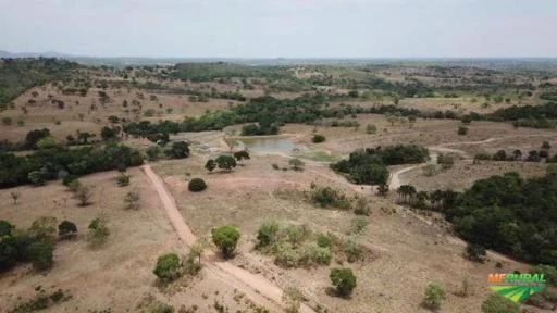 Fazenda em Crixas/ Nova Crixas as margens do asfalto