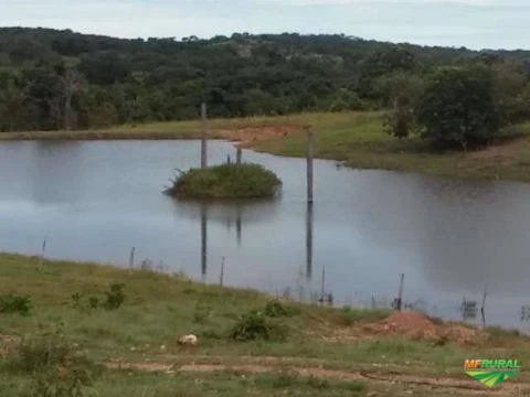 Fazenda em Crixas/ Nova Crixas as margens do asfalto