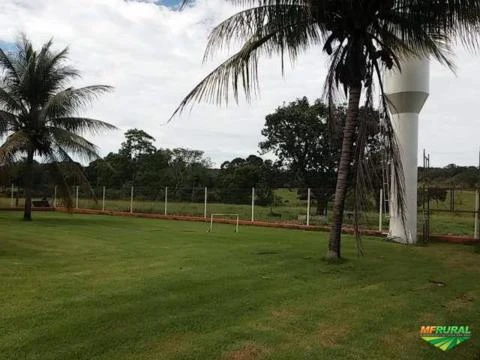 Fazenda em Crixas/ Nova Crixas as margens do asfalto