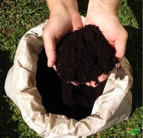 PÓ DE XAXIM Imagem PÓ DE XAXIM