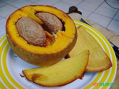 Imagem mudas de frutas amazonicasm Imagem mudas de frutas amazonicasm