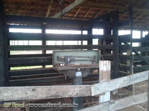 Fazenda  a 17 km de Goianira