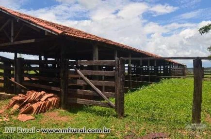 Fazenda  a 17 km de Goianira