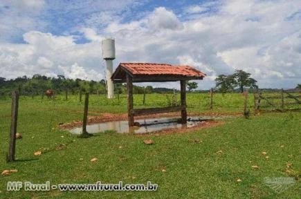 Fazenda  a 17 km de Goianira