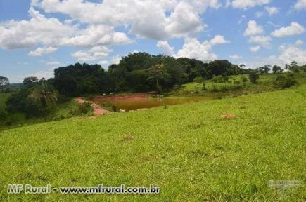 Fazenda  a 17 km de Goianira