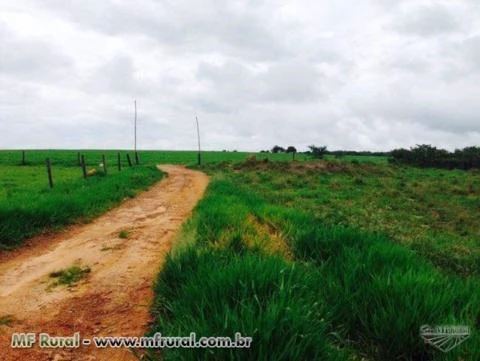 Fazenda 255 ha em soja Goiás