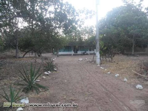 Sítio Serra Branca - com 60.000m² + Casa + Plantação