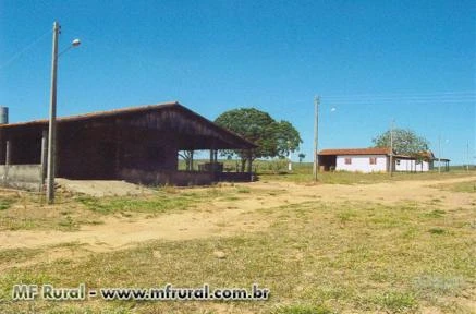 FAZENDA EM SÃO JOÃO D