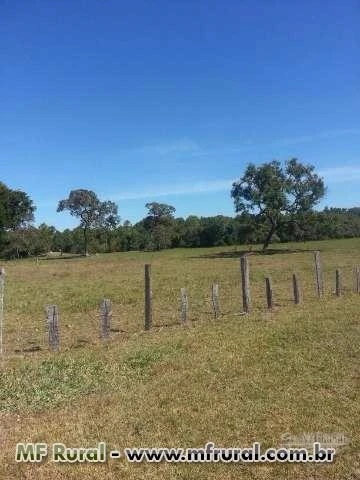 Fazenda 130 alq Cocalinho MT (70KM de Britânia GO)