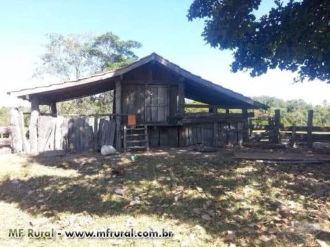 Fazenda 130 alq Cocalinho MT (70KM de Britânia GO)