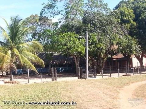 Fazenda 130 alq Cocalinho MT (70KM de Britânia GO)