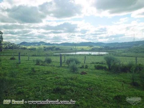 Fazenda com 530 Hectares em Vila Seca/RS