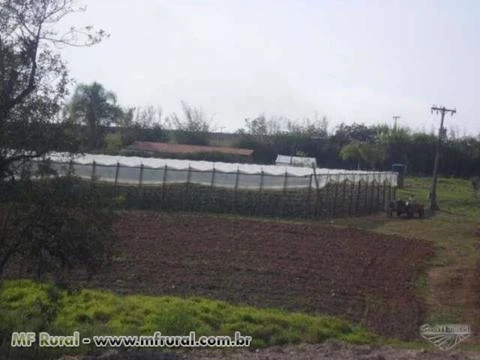 Vendo sitio produtivo Sao miguel arcanjo