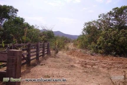 Fazenda Para Pacuária e Agricultura em São Salvador Tocantins - TO
