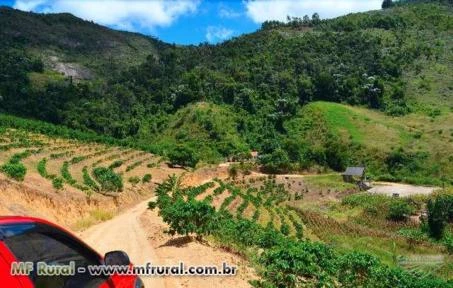 Fazenda de 80 hectares região serrana do Espirito Santo