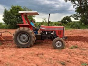 Trator  Massey Ferguson 292