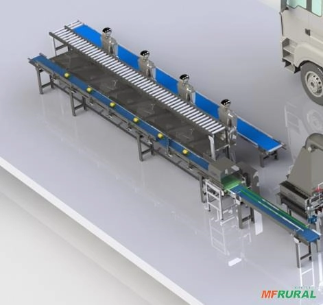 Classificadora de abacaxis por peso Imagem Classificadora de abacaxis por peso