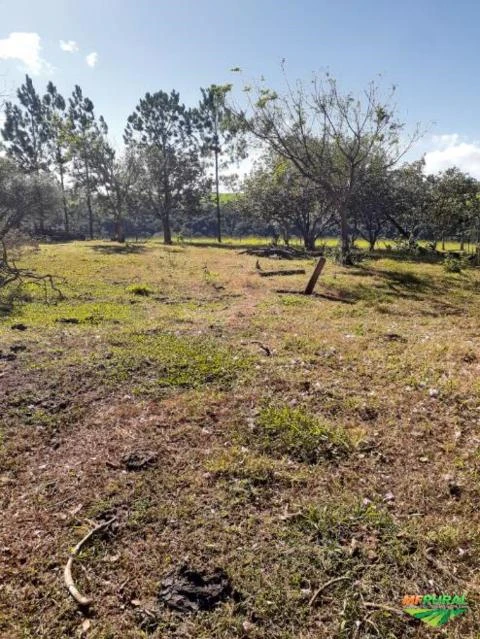 Vendo Sítio de 10 Alqueires a 15 km de Avaré/SP