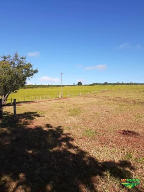 Vendo Sítio de 10 Alqueires a 15 km de Avaré/SP